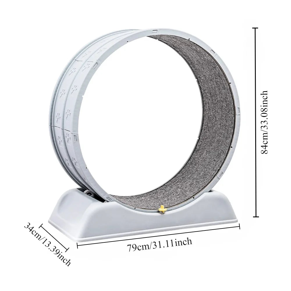 PawMotion Pro image 3